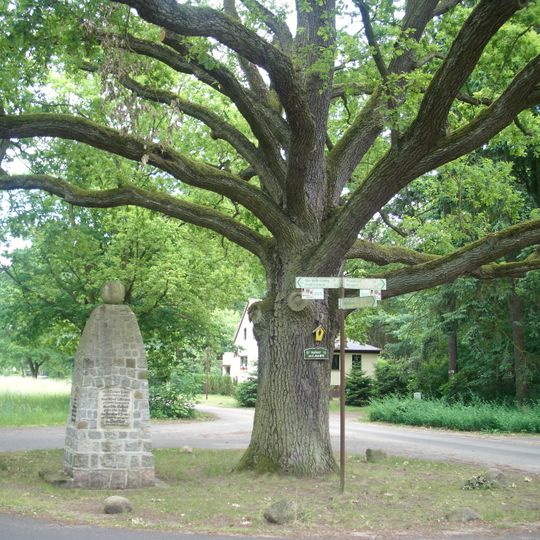 Naturdenkmal Friedenseiche  in Kaisermühl