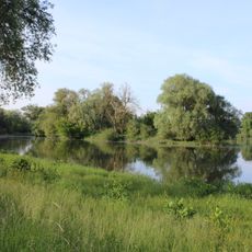 Donau-Ufer bei Irlbach