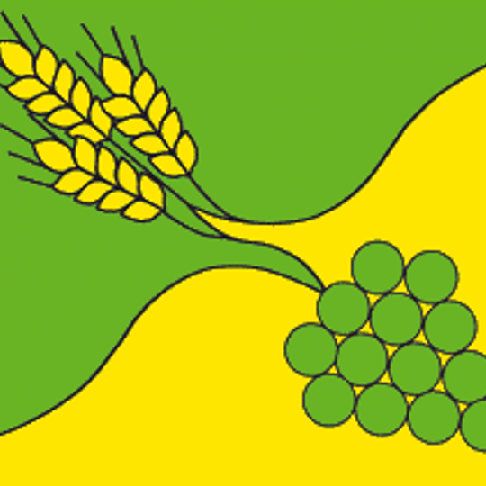 Budyonnovsky District