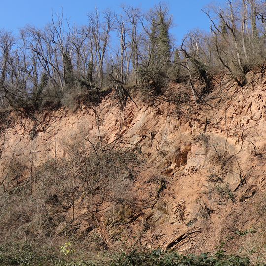 Steinbruch E von Hörstein