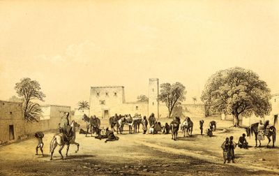 Immagine alternativa