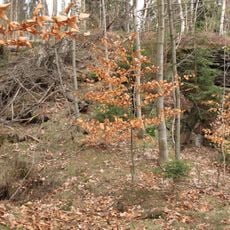 Schlossstein (Bärenstein)