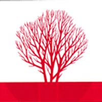 distretto di Sîngerei