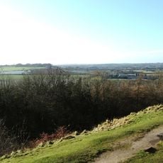 Berry Ring hillfort