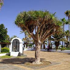 Cruz de San Carlos