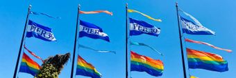 Pier 39 Profile Cover