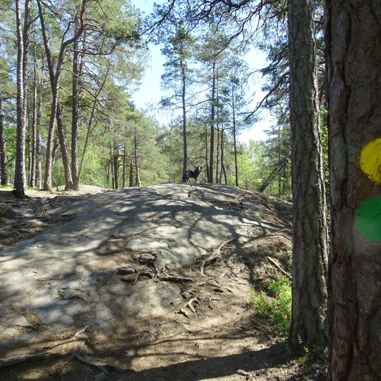 Källtorpssjön runt