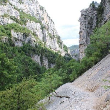 Randonnée sur la Côte d'Azur : sentiers côtiers entre Nice et Monaco, de Cap d'Ail aux Gorges du Verdon