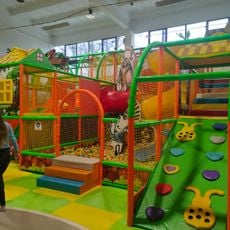 Figloraj Fun Zone