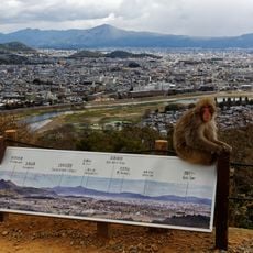 嵐山猴子公園