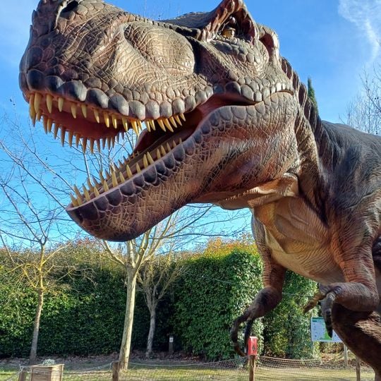 Dinopedia Parc Provence