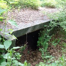 Fort Vechten, Schuilplaatsen type 1915