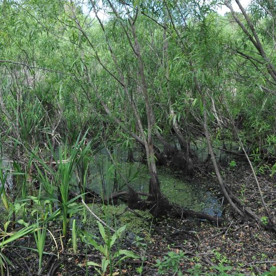 Windover Archaeological Site