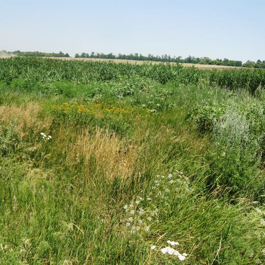 Балка біля села Карла Лібкнехта