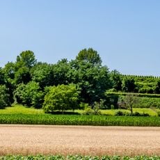 Krozinger und Schlatter Berg