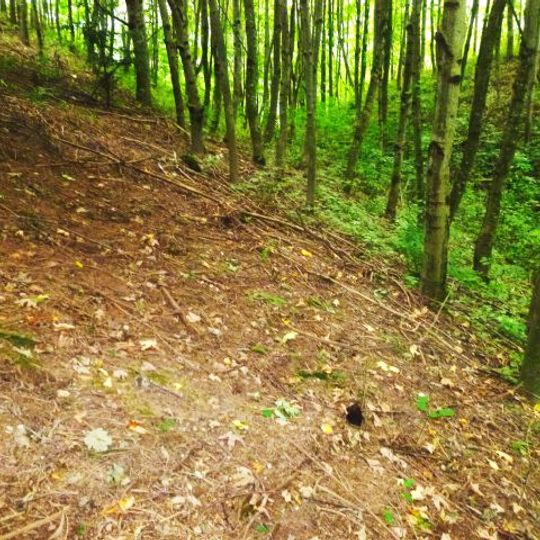 Burgstall Antiesenberg