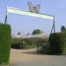 Stratford Butterfly Farm