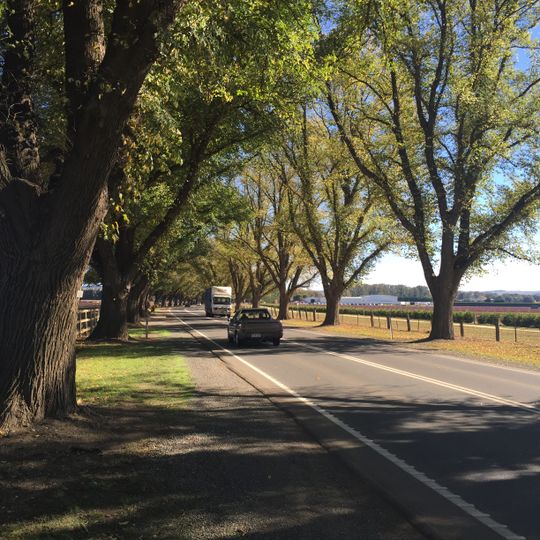 Bacchus Marsh Avenue of Honour