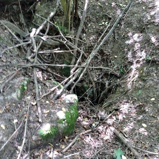 Szőlősi Arany Cave