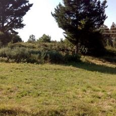 Castro de Barallobre