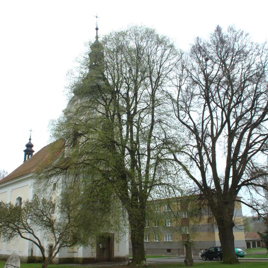 Lípa malolistá a lípa velkolistá