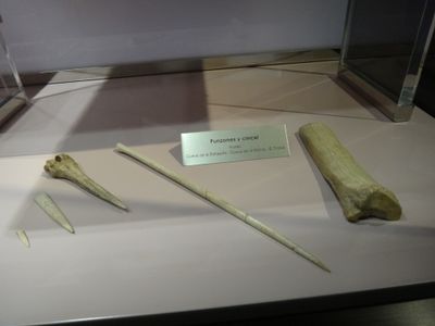 Immagine alternativa