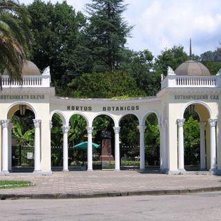 Sukhumi botanical garden
