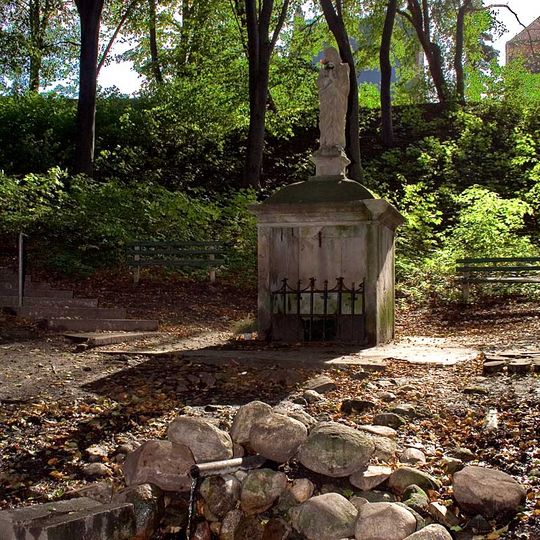 Rezerwat przyrody Buczyna Jakubowska