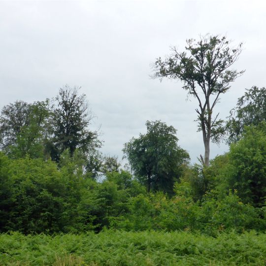 Kinzig-Murg-Rinne zwischen Ettlingen und Malsch