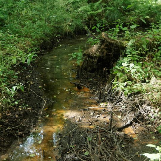 NSG Saubachtal-Lehmsief suedlicher Teilbereich