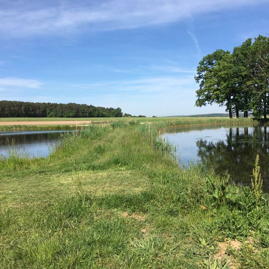 Langenbachgrund und Haarweiherkette
