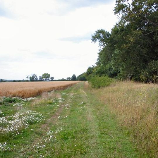 Black Ditches, Cavenham