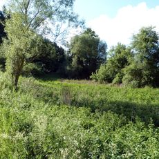 Feuchtgebiet bei der Marienkapelle