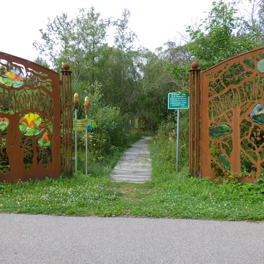 Moorgebiet bei Arrach