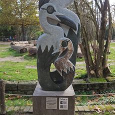 Pelican Family