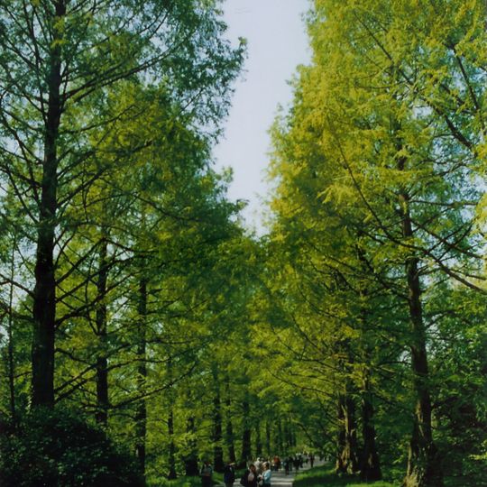 Arboretum der Insel Mainau