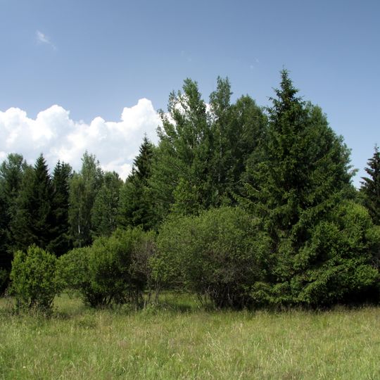 Mokřady pod Vlčkem