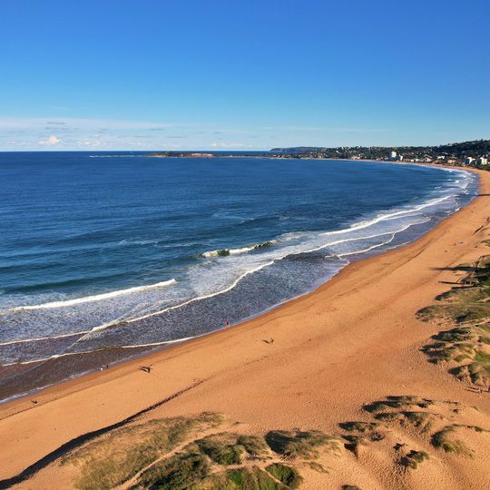 Narrabeen Beach