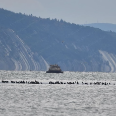 Sudzhuksky Lighthouse