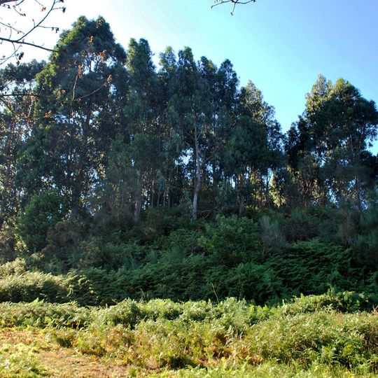 Castro de Vilasanche