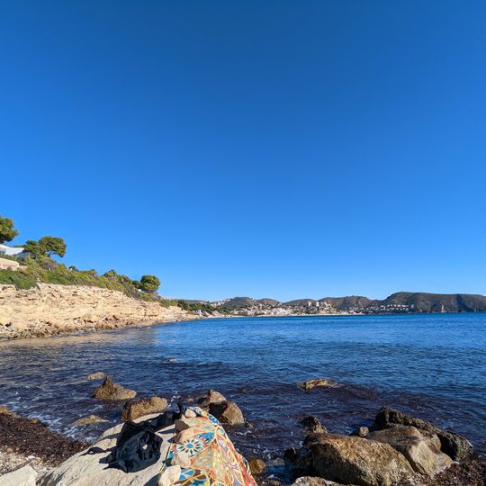 Algas L’Andragó