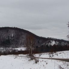 Czyżyk