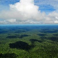 Guyana