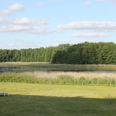 Hofsee