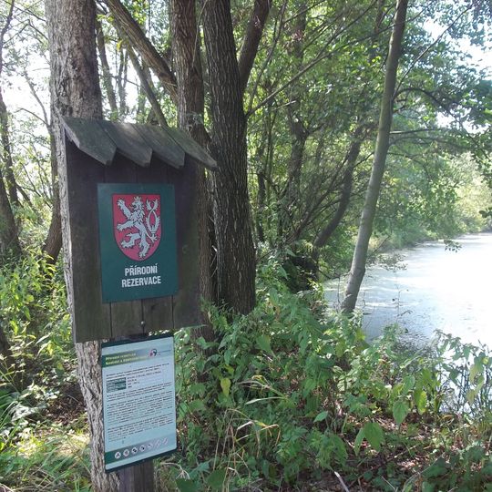 Koutské a Zábřežské louky