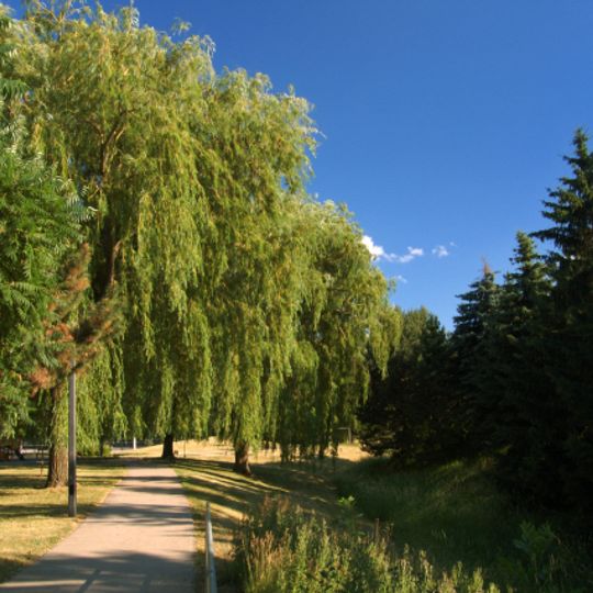 Thornhill
