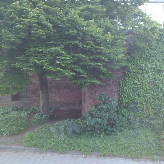 Stadsmuur Bokkingshang