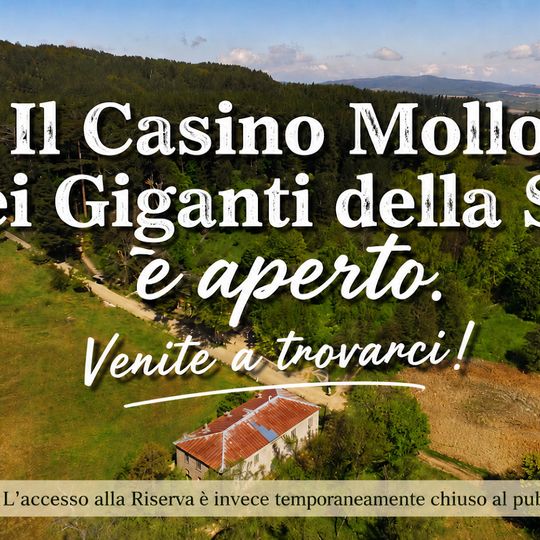 Riserva naturale I Giganti della Sila