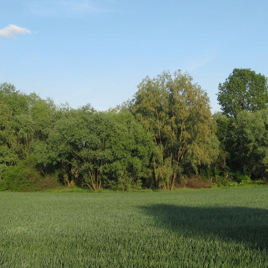 Michałkowicka Kępa