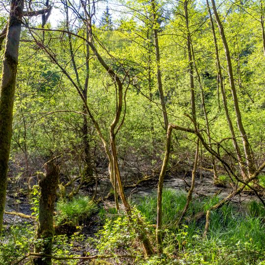 Naturschutzgebiet "Lambsbachtal"